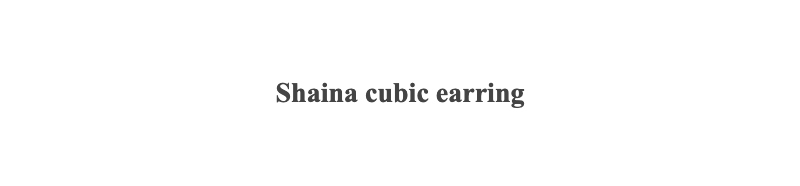 Shaina cubic earring