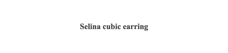 Selina cubic earring